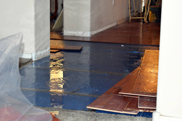 Professional Sewage Cleanup technician working in Jamestown, NY